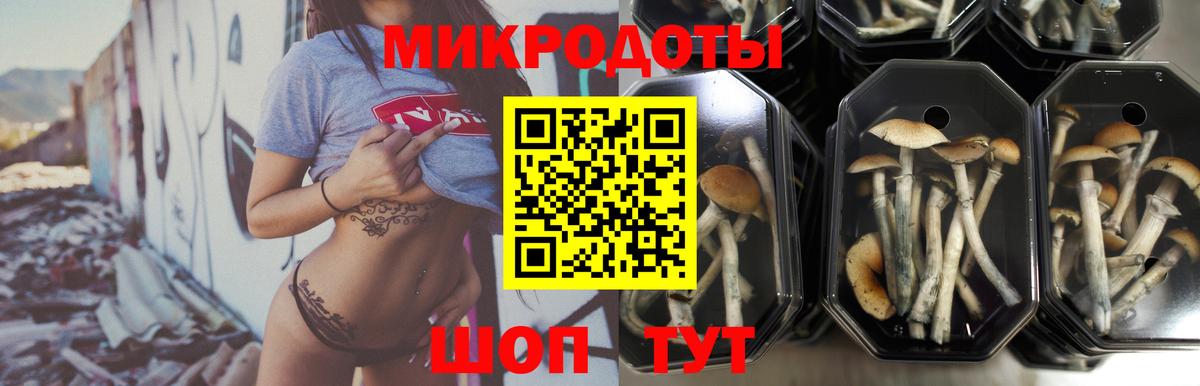 Псилоцибиновые грибы мицелий  Галлюциногенные грибы мицелий  Ливны  Вход с VPN 